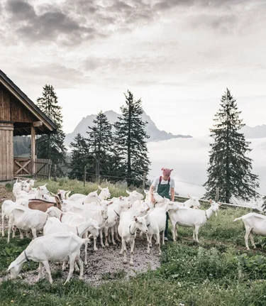 Grabneralm_c-Stefan Leitner_Gesaeuse_10 | © www.stefanleitner.com