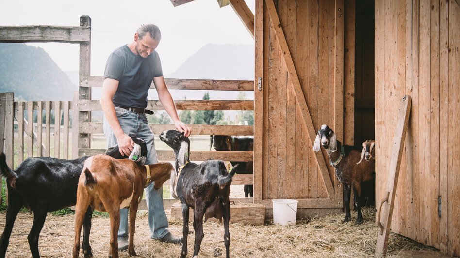 Ziegenhof Ennsleitner_c-Stefan Leitner_Gesaeuse_22 | © www.stefanleitner.com