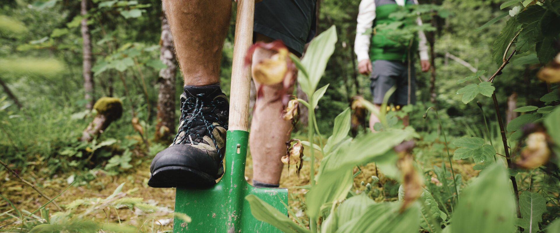 001_Gesäuse_Ranger_Stefan_Leitner
