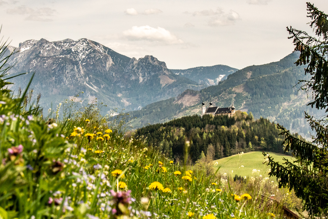 Ardning - Impression #1