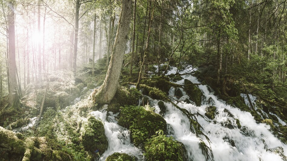 Wildalpen - Impression #2.2