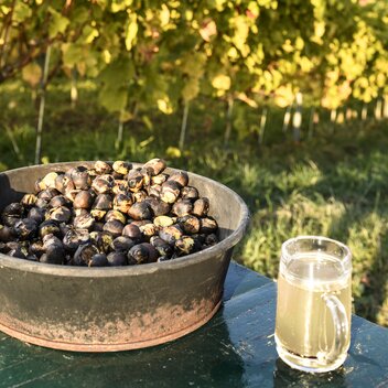 Kastanien & Sturm | © Thermen- & Vulkanland | Robert Sommerauer I Pixelmaker