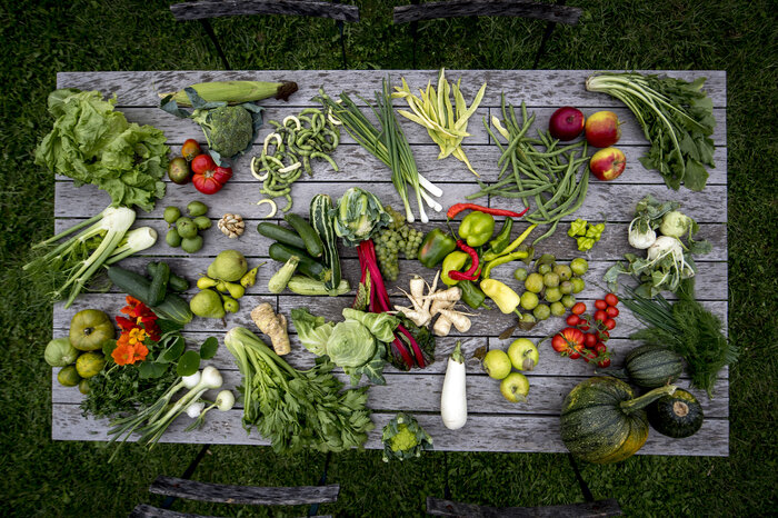 Culinary Styria: abundance and diversity | © Steiermark Tourismus | Tom Lamm