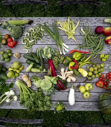 Culinary Styria: abundance and diversity | © Steiermark Tourismus | Tom Lamm