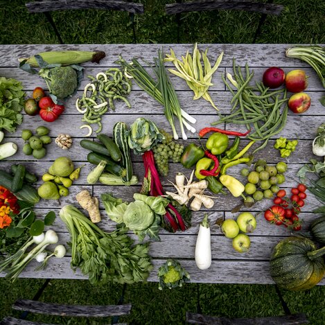 Die kulinarische Steiermark: Fülle und Vielfalt | © STG | Tom Lamm