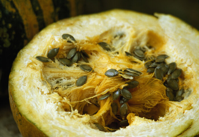 Pumpkin seed harvest in Styria | © Steiermark Tourismus | Atelier Jungwirth, Christian Jungwirth