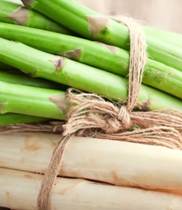 Fresh asparagus | © Steirerspargel | Hofladen Brugner Bad Blumau 