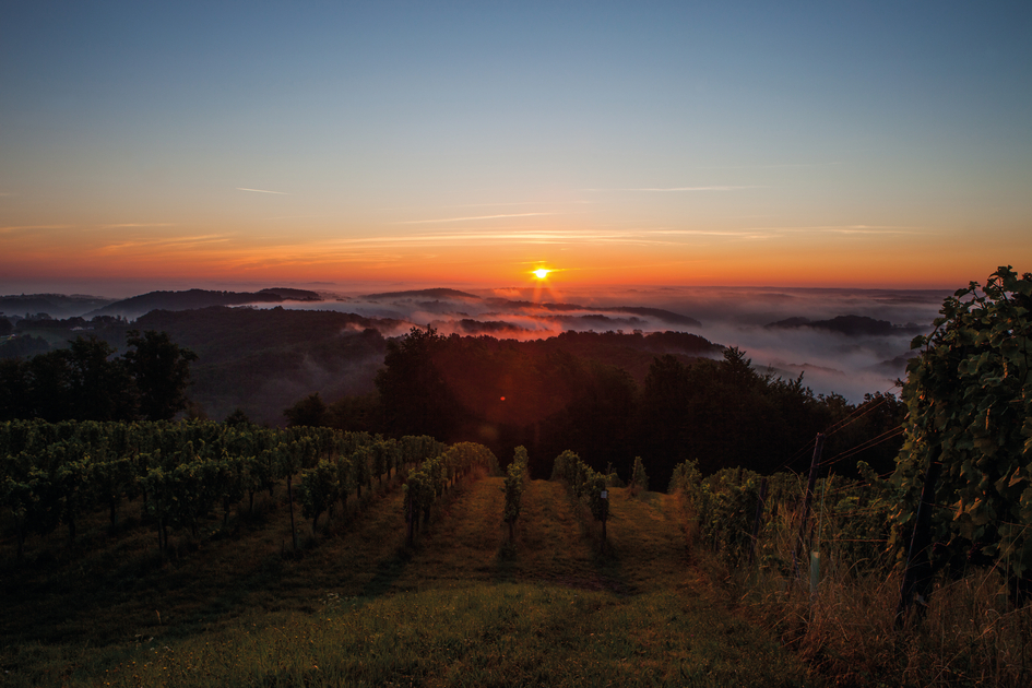 Evidence of the past - volcanism in Styria. | © Winzer Vulkanland I Ulrike Korntheuer