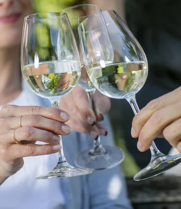 In vino veritas - in wine lies the truth | © Thermen- & Vulkanland | Harald Eisenberger