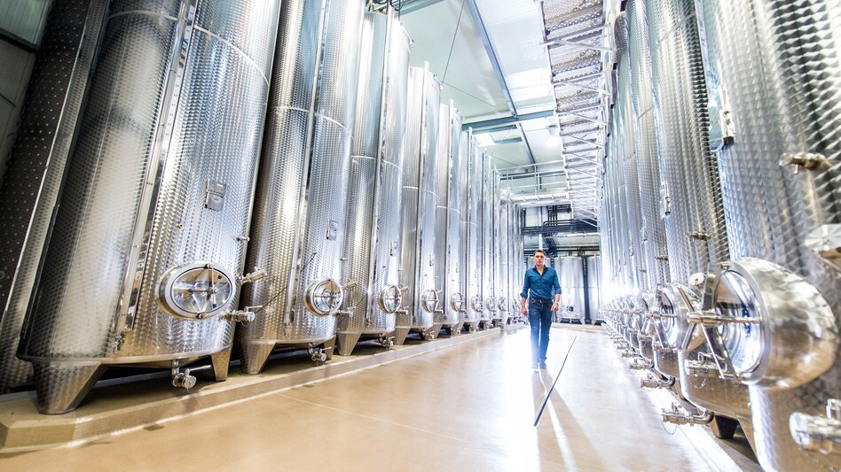 Wein erleben auf der Vulkanland Route 66 | © Thermen- & Vulkanland | Bernhard Bergmann