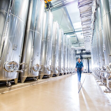 Experience wine on the Vulkanland Route 66 | © Thermen- & Vulkanland | Bernhard Bergmann