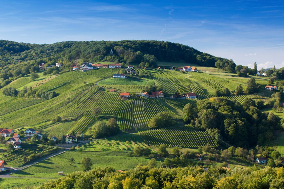Schemming vineyard in St. Anna am Aigen | © Steiermark Tourismus | Harry Schiffer