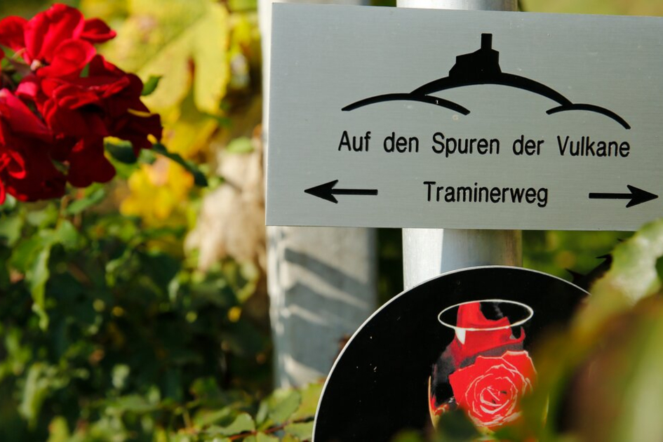 Klöcher Traminer - the wine with the scent of the rose | © Steiermark Tourismus | Herbert Raffalt