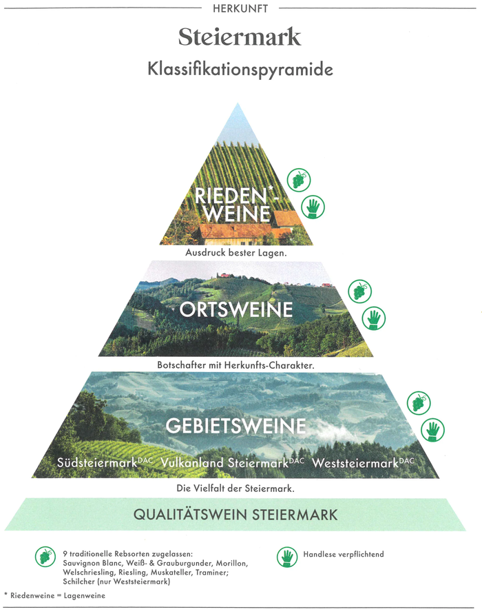 Classification of wines