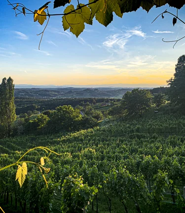 Blick über die Landschaft der Marktgemeinde Straden | © Thermen- & Vulkanland | Werner Resch