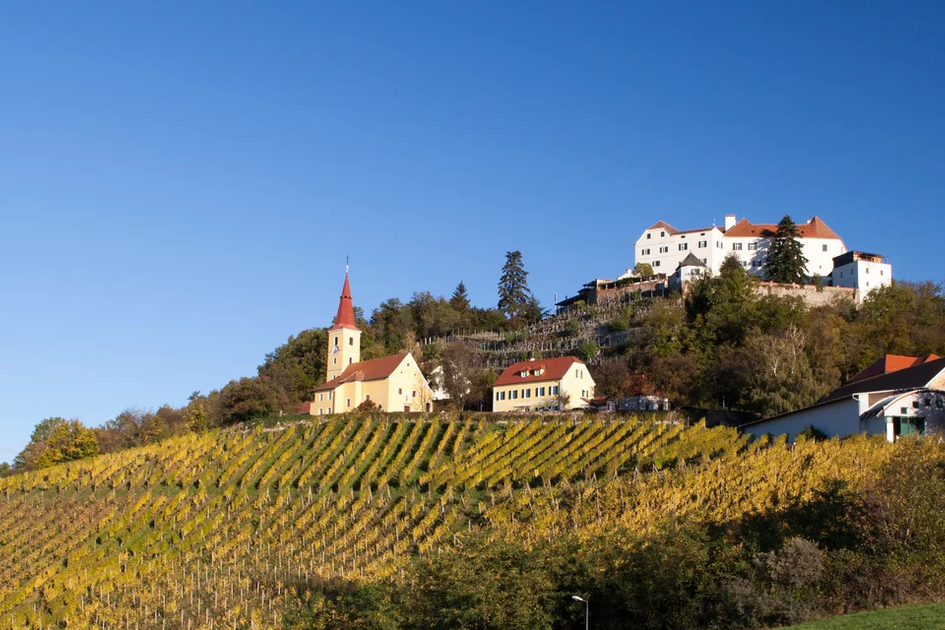 STK Winegrowers Association | © Winzer Vulkanland I Ulrike Korntheuer