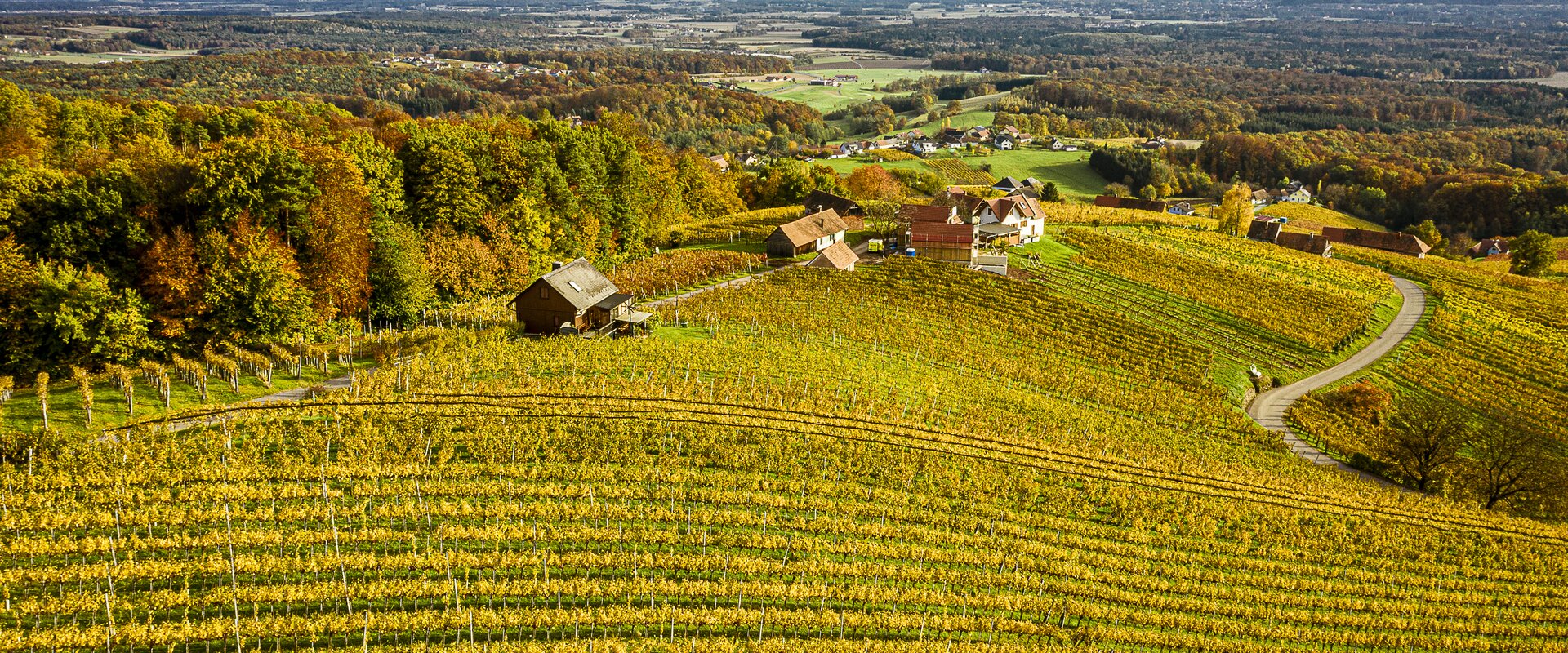 Weingärten Klöch im goldenen Herbst | © Thermen- & Vulkanland | pixelmaker.at