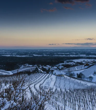 Snow covered vineyards in Bad Radkersburg | © Thermen- & Vulkanland | pixelmaker.at | pixelmaker.at