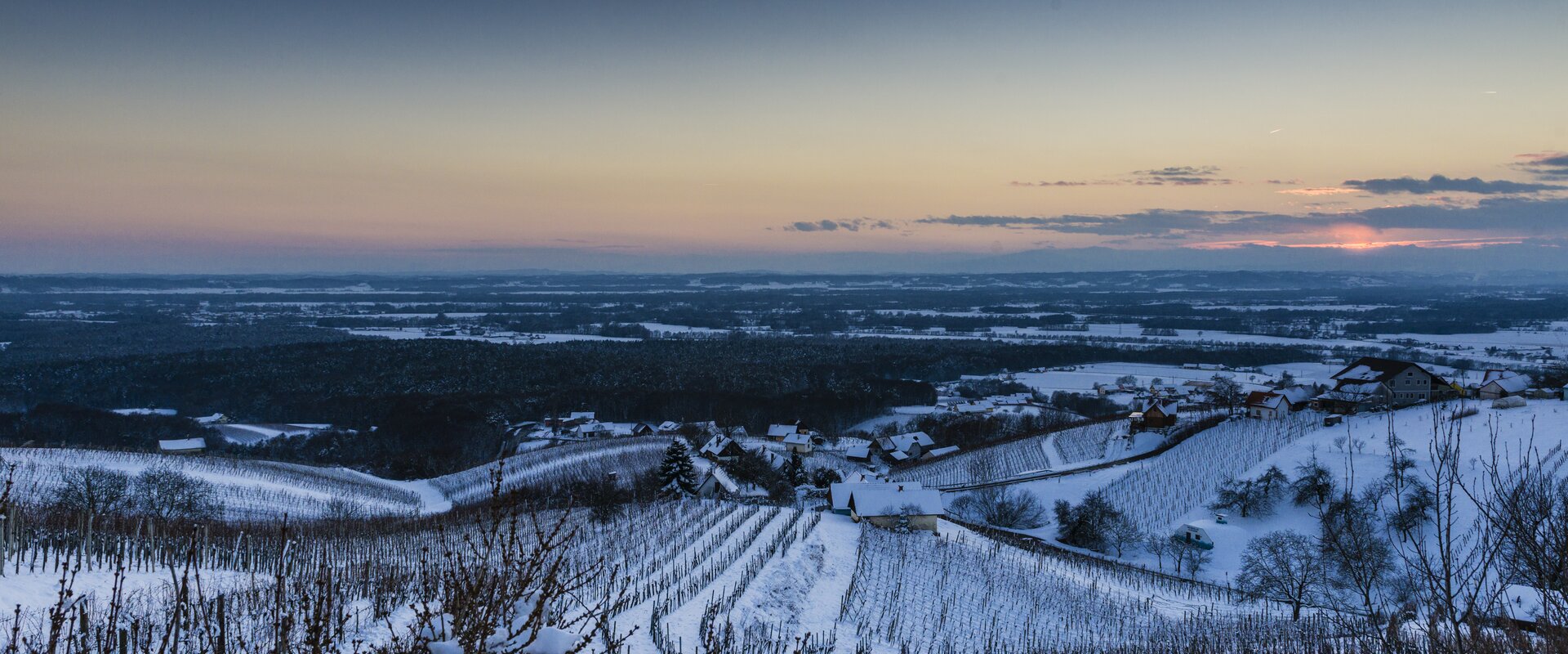 Snow covered vineyards in Bad Radkersburg | © Thermen- & Vulkanland | pixelmaker.at | pixelmaker.at