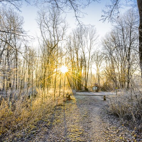 Frosty morning in the Mur floodplains of Southeast Styria | © Thermen- & Vulkanland | pixelmaker.at | pixelmaker.at