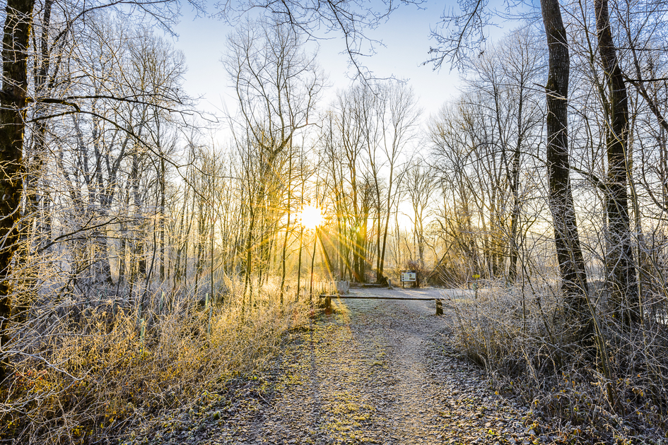 Frosty morning in the Mur floodplains of Southeast Styria | © Thermen- & Vulkanland | pixelmaker.at | pixelmaker.at