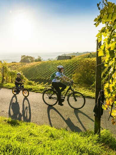 Radeln mit Genuss im Thermen- & Vulkanland | © Thermen- & Vulkanland | Robert Sommerauer I Pixelmaker