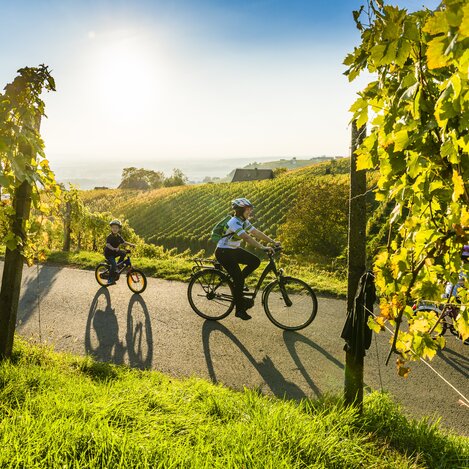Radeln mit Genuss im Thermen- & Vulkanland | © Thermen- & Vulkanland | Robert Sommerauer I Pixelmaker