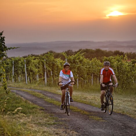 Radfahren bei den Weinhängen von Bad Radkersburg | © Thermen- & Vulkanland | Bernhard Bergmann