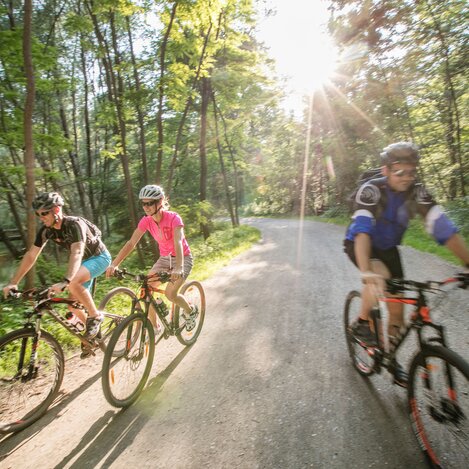 Radfahren durch den UNESCO Biosphärenpark in den Murauen | © Thermen- & Vulkanland | Harald Eisenberger