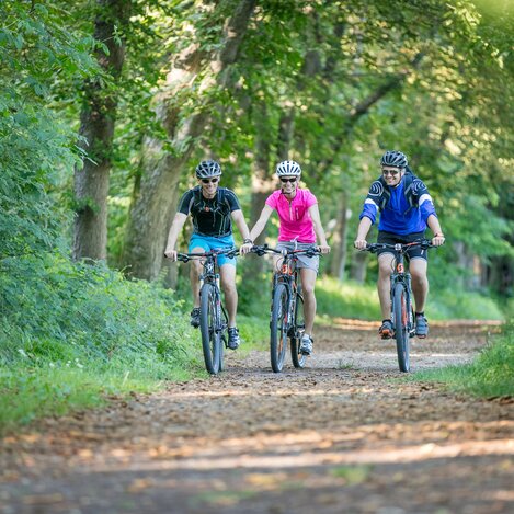 Shady cycling tours in the UNESCO Biosphere Park in the Mur floodplains | © Thermen- & Vulkanland | Harald Eisenberger