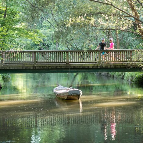 Radfahrer im UNESCO Biosphärenpark in den Murauen | © Thermen- & Vulkanland | Harald Eisenberger