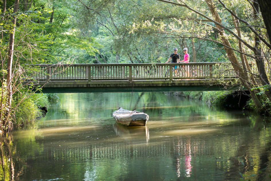 Cyclists in the UNESCO Biosphere Park in the Mura floodplains | © Thermen- & Vulkanland | Harald Eisenberger