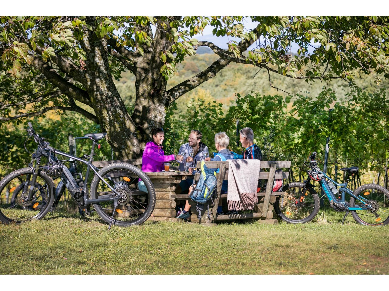 Biken Radfahren Weinberge Jause Steiermark | © Thermen- & Vulkanland Steiermark | Harald Eisenberger