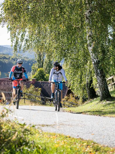 Bergauf, bergab für sportlich Ambitionierte | © Thermen- & Vulkanland | Harald Eisenberger