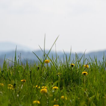 Wunderschöne Natur entlang des Vulcania300 | © Thermen- & Vulkanland | Christian Thomaser