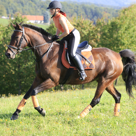 Auf dem Rücken der Pferde | © Susanna Fritz | Harald Eisenberger