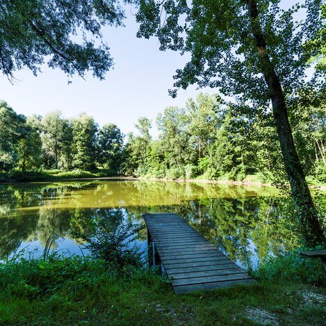 Aulandschaft im Raum Bad Radkersburg und Halbenrain | © pixelmaker.at | Robert Sommerauer, Pixelmaker | © Robert Sommerauer