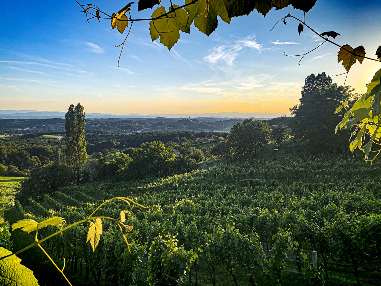 Unvergessliche Wandererlebnisse sammeln | © Thermen- & Vulkanland | Werner Resch