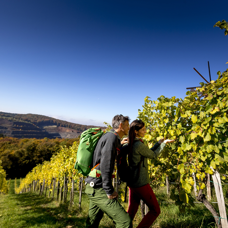 Hiking in Klöch - hiking route ‘From glacier to wine’ | © Steiermark Tourismus | Tom Lamm