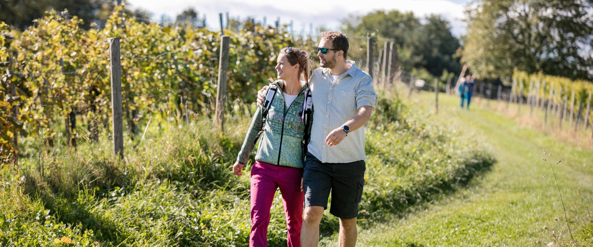Wein-Wandern  | © Thermen- & Vulkanland | Harald Eisenberger
