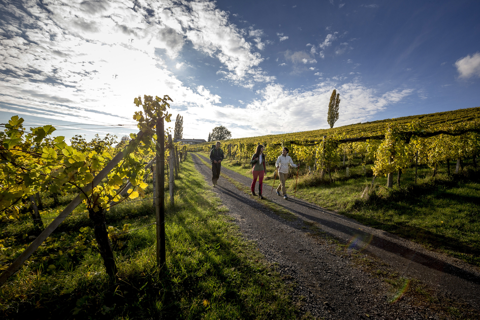 Hiking in Klöch | © STG | Tom Lamm
