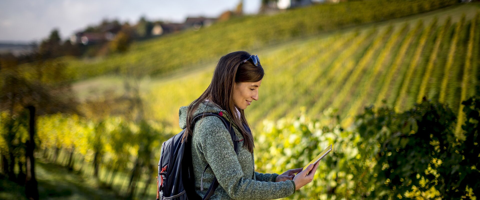 Route planning on the hiking route “From glacier to wine” in Klöch | © STG | Tom Lamm
