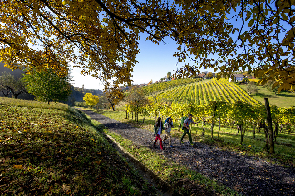 Wandern bei Klöch | © STG | Tom Lamm