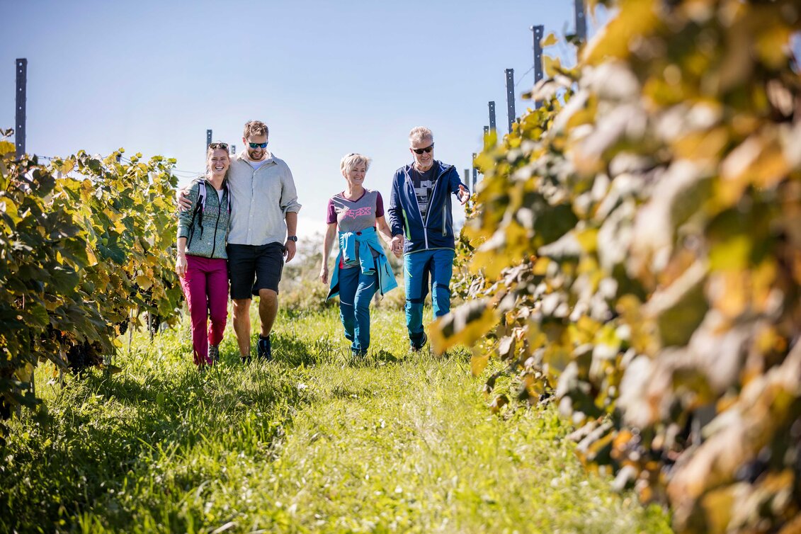 Genusswandern im Südosten der Steiermark | © Thermen- & Vulkanland | Harald Eisenberger