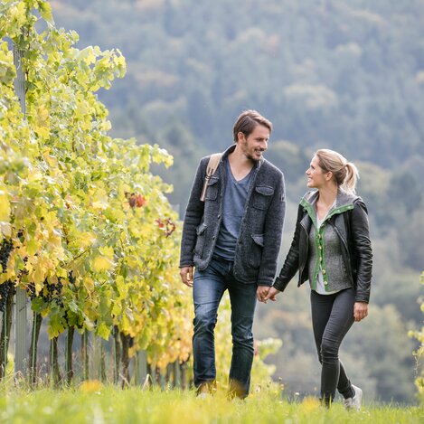 Hiking meadow family Styria | © Thermen- & Vulkanland | Harald Eisenberger