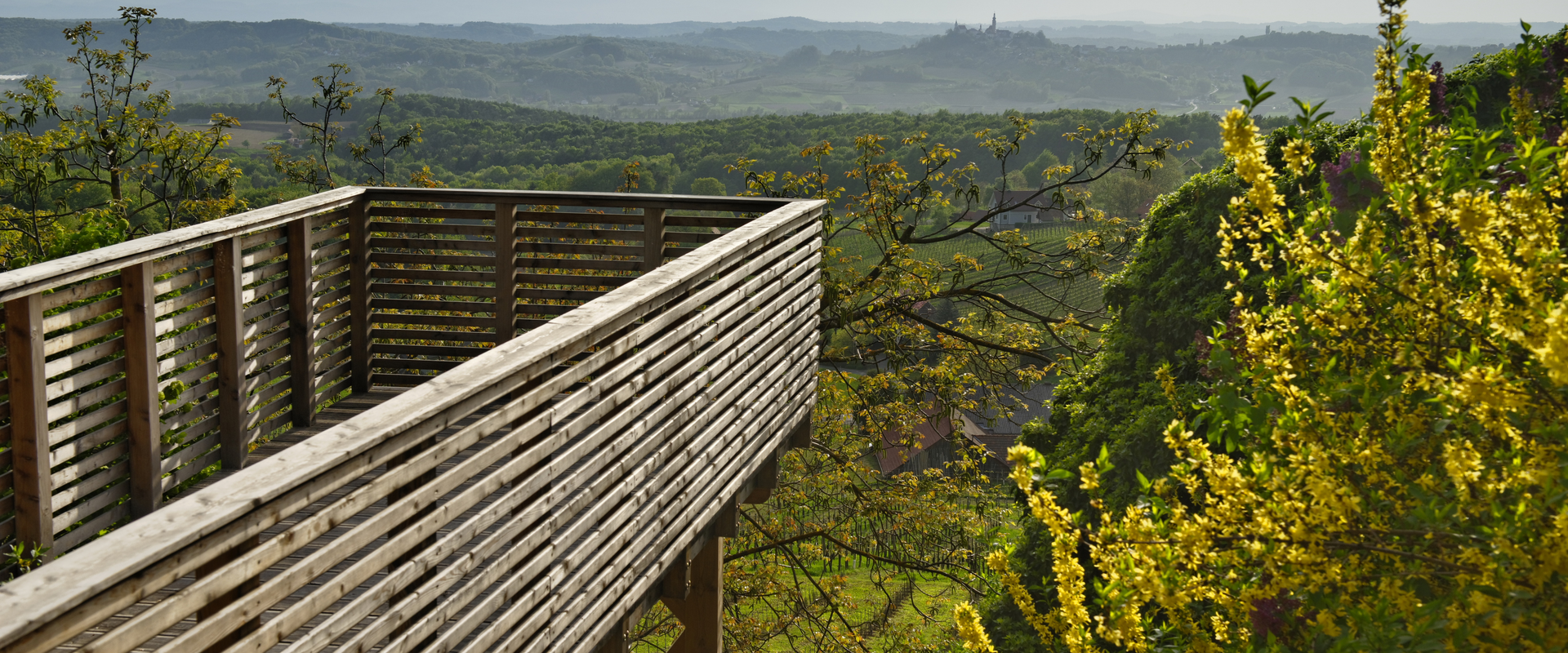 Glückssteg beim Heurigen Rosenbergl am Weg um die Mitte | © Steirisches Vulkanland | Bernhard Bergmann