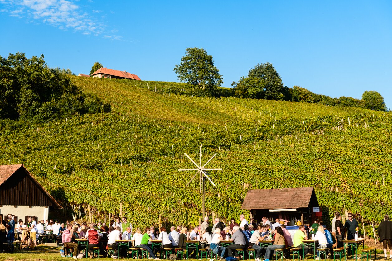 Weinfeste im steirischen Herbst | © Thermen- & Vulkanland | Robert Sommerauer I Pixelmaker