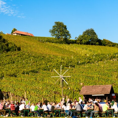 Weinfeste im steirischen Herbst | © Thermen- & Vulkanland | Robert Sommerauer I Pixelmaker