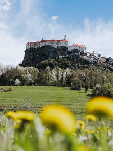 Riegersburg castle in autumn | © Thermen- & Vulkanland | Line Sulzbacher