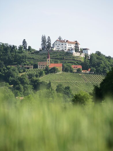 Schloss Kapfenstein umgeben von Weinstöcken des Weingutes Winkler-Hermaden | © Thermen- & Vulkanland | Harald Eisenberger